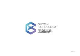 武汉国新高科科技有限公司Logo