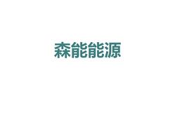 潍坊森能纸管设备制造有限公司Logo