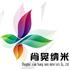 上海肖晃纳米科技有限公司Logo