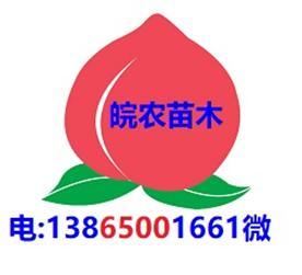 安徽皖农苗木有限公司Logo