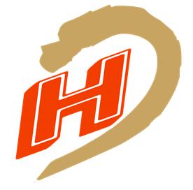 河北大宏橡塑科技有限公司Logo