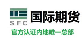 中陽證券國際控股有限公司Logo