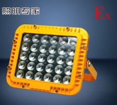 BYC6239-100W BYC6239防爆LED節(jié)能燈
