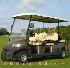 安順電動(dòng)看樓車 電動(dòng)游覽觀光車 樓盤看房車