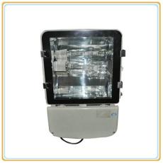 NSC9116A節(jié)能型熱啟動泛光燈/2*250W