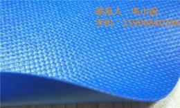 蓝色0.63mm涂刮PVC夹网布 充气玩具面料