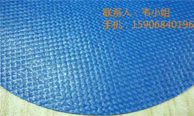 藍(lán)色0.63mm涂刮PVC夾網(wǎng)布 充氣玩具面料