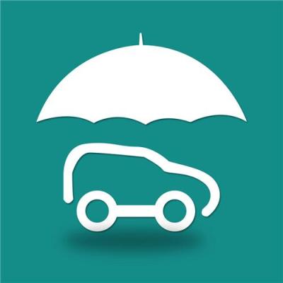 全零保車險 市場潛力無限 值得信賴