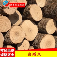 东莞白蜡木厂家协兴木业热销美国进口白蜡木