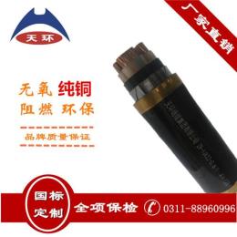 河北阻燃電力電纜 國標銅芯電力電纜廠家