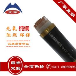 河北低壓銅芯電纜 YJV交聯電纜批發