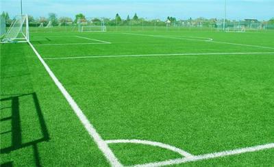 足球场人造草坪 塑胶跑道人造草皮