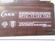 奥克松AKS蓄电池NP12-17批发价格