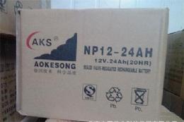 奥克松AKS蓄电池NP12-24优惠价格