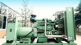 正規(guī)廠家授權(quán) 無動(dòng) 柴油發(fā)電機(jī)系列