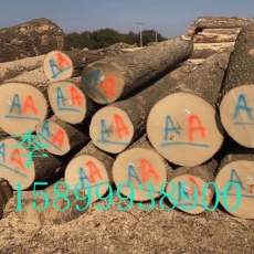 协兴木业供应家具木材美国进口白蜡木原木