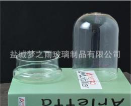 微景观玻璃生态瓶 玻璃器皿工艺品 厂家直销