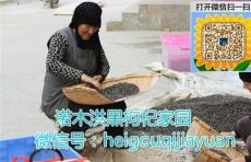 青海黑枸杞多少錢一斤 黑枸杞的正確吃法