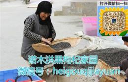 青海黑枸杞多少錢一斤 黑枸杞的正確吃法