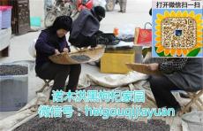青海黑枸杞多少錢一斤 野生黑枸杞怎么吃