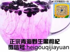 黑枸杞的市場價格 黑枸杞的功效 青海諾木