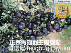 諾木洪黑枸杞多少錢一斤 野生黑枸杞怎么吃