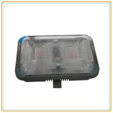 FZY9180-40W FZY9180長壽無極頂燈
