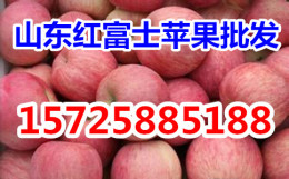 山东红富士苹果产地市场价格降价批发急售