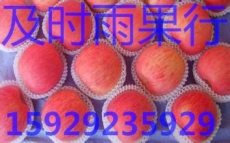 高原红富士苹果价格 陕西膜袋红富士苹果