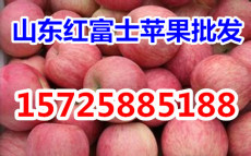 山东红富士苹果产地供应市场批发价格