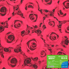2017年生态板十大品牌健居乐免漆板红玫瑰