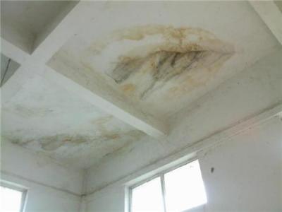 深圳市平湖专业 楼面屋顶 卫生间 厨房防水