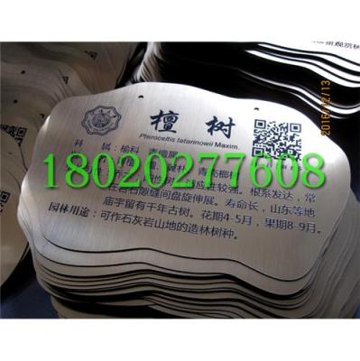 綠植花卉掛牌 二維碼樹(shù)木標(biāo)牌定制