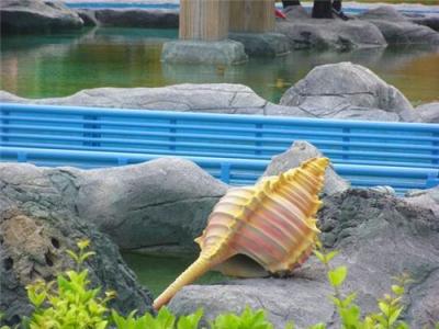 杭州贝壳雕塑