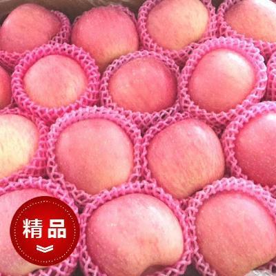 广西苹果出售山东冷库苹果产地批发价格
