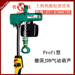 JDN風(fēng)動葫蘆 M63D德國JDN氣動葫蘆 質(zhì)量保證