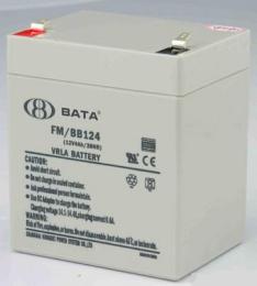 BATA蓄电池FM/BB124 12V4AH 报价