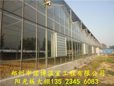 阳光温室大棚结构图 玻璃智能温室大棚造价