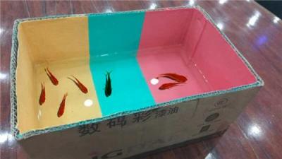 防水外墻涂料一桶的價格是多少-省錢實用