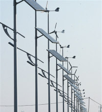 太阳能路灯 保定太阳能路灯厂家 价格 图片