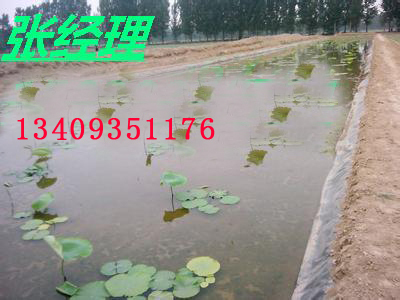 许昌襄县长葛禹州鄢陵旱地莲藕地膜塑料薄膜