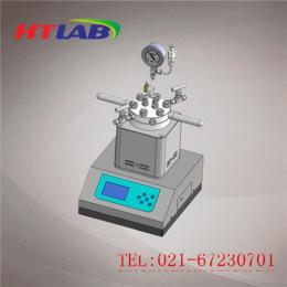 上海厂家直销微型高压100ML磁力搅拌反应釜
