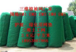 成都三維植被網(wǎng)公司近期報價/