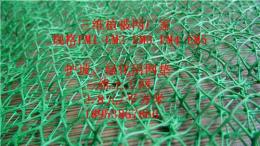 合肥三維植被網(wǎng) 廠家近期報價-