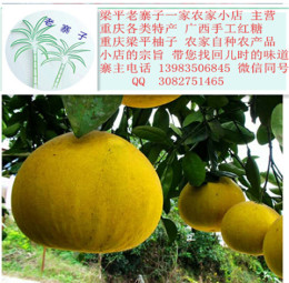 重庆特产梁平柚子 梁山柚的功效 中国名柚