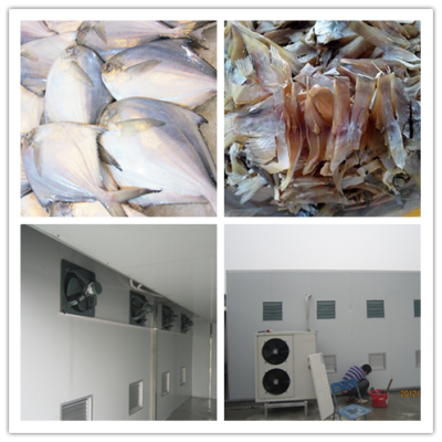 海鱼烘干机 节能海产品烘干设备