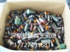 台州高倍率电池回收 丽水手机电池回收厂家