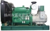 扬州柴油发电机组保养 柴油发电机组维修