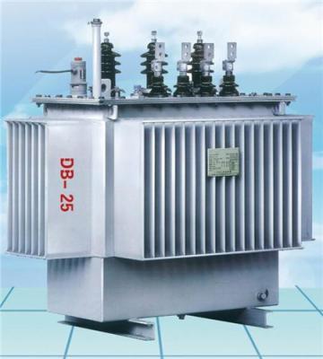 国普电力S11-30/10油浸式变压器