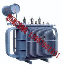 S11系列20kV油浸式电力变压器-